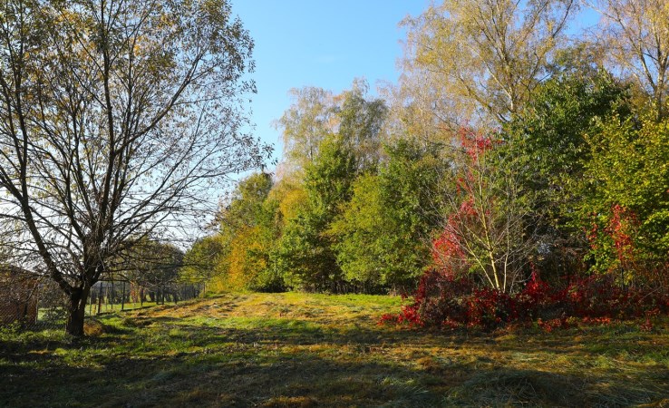 działka na sprzedaż - Zebrzydowice, Zebrzydowice Dolne, Słowicza