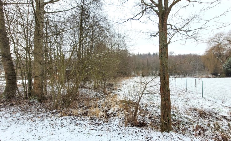 działka na sprzedaż - Zebrzydowice, Zebrzydowice Dolne, Jutrzenki