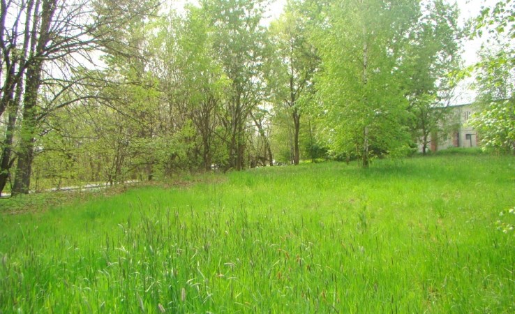 działka na sprzedaż - Jastrzębie-Zdrój, Szeroka, Gagarina