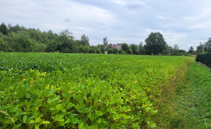 działka na sprzedaż - Chybie, Mnich, Jałowcowa